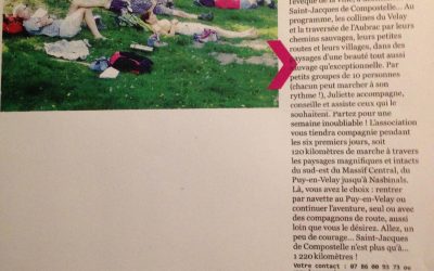 Nouvelle vie